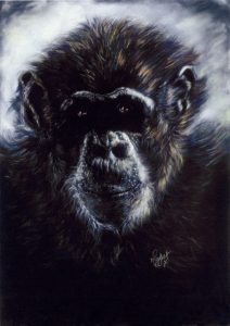 Soft Pastels Chimpanzee, Gorilla, Chimp, Monkey, Baboon