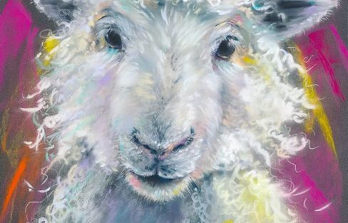 Love Ewe Sheep
