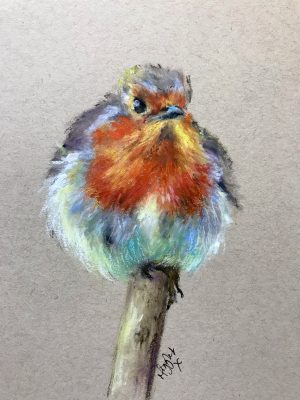 chubby pecker robin